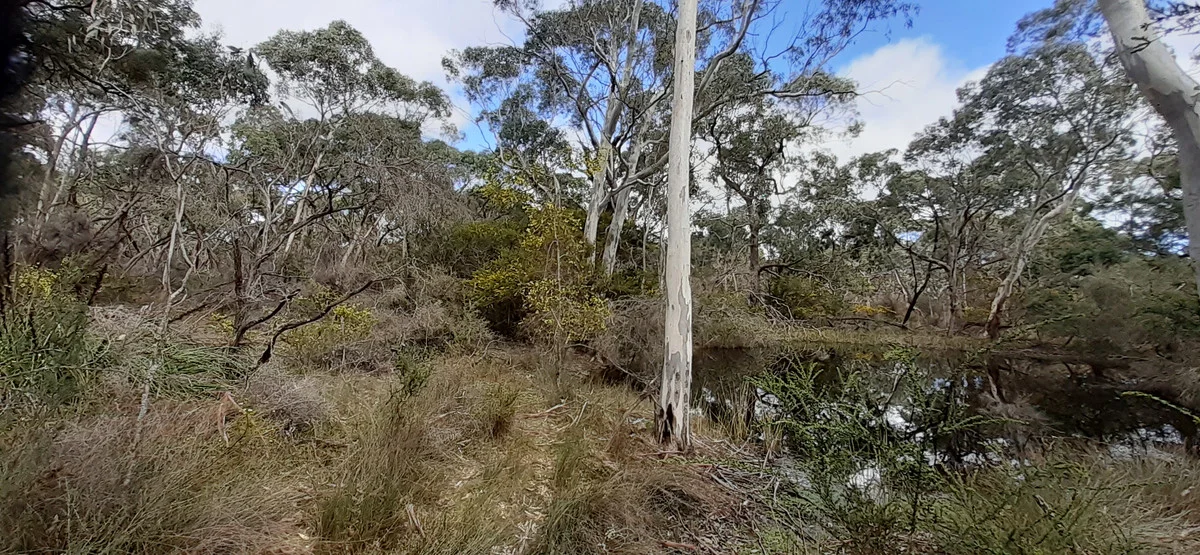 Additional image 21 of 250 Hoffmanns Road, Mooralla VIC 3314