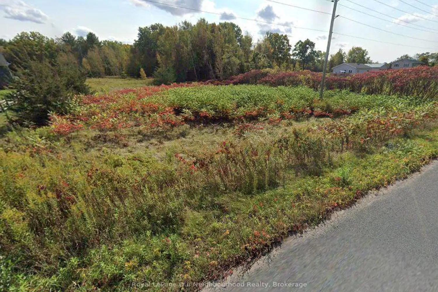 Lot 14 Trent River Road