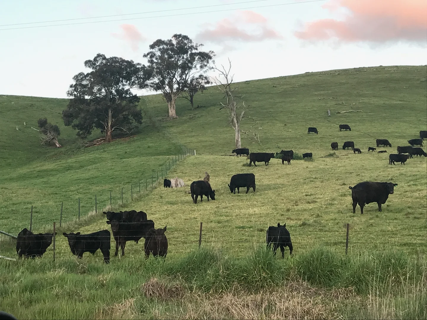 Additional image 27 of 245 Caves Road, Wee Jasper NSW 2582