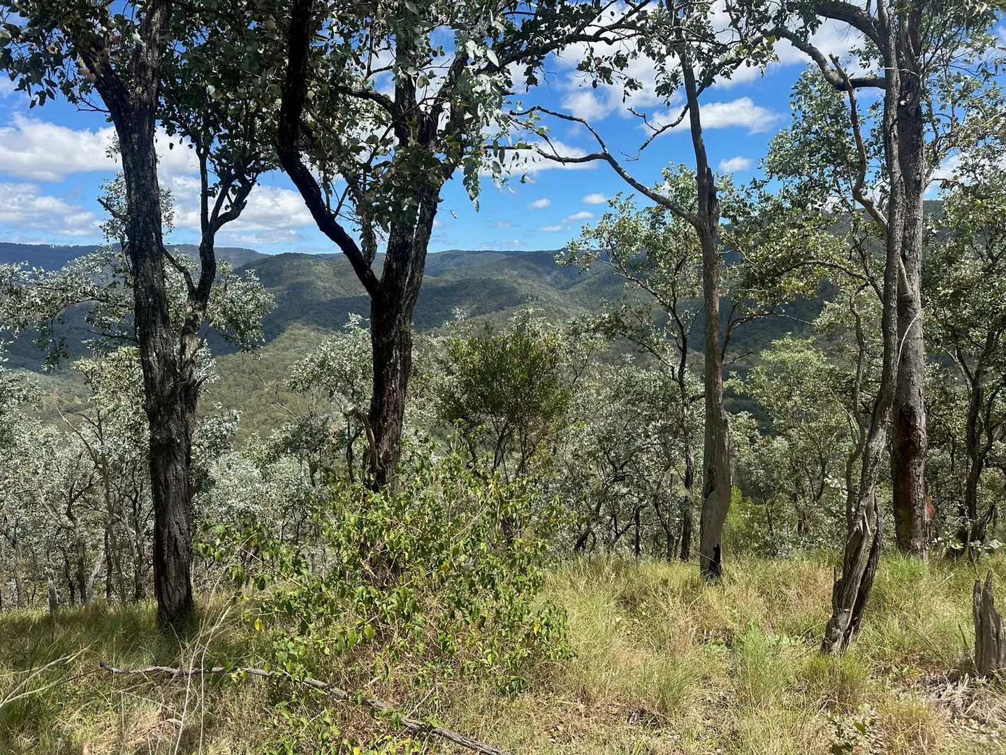 Additional image 12 of Lot 16 Bonner Road, Rivertree NSW 2372