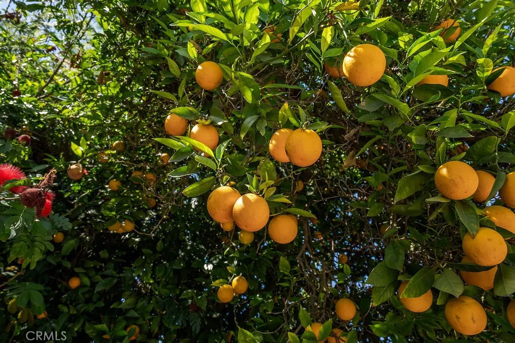 Additional image 35 of 340 E Old Mill Rd, Corona, CA 92879