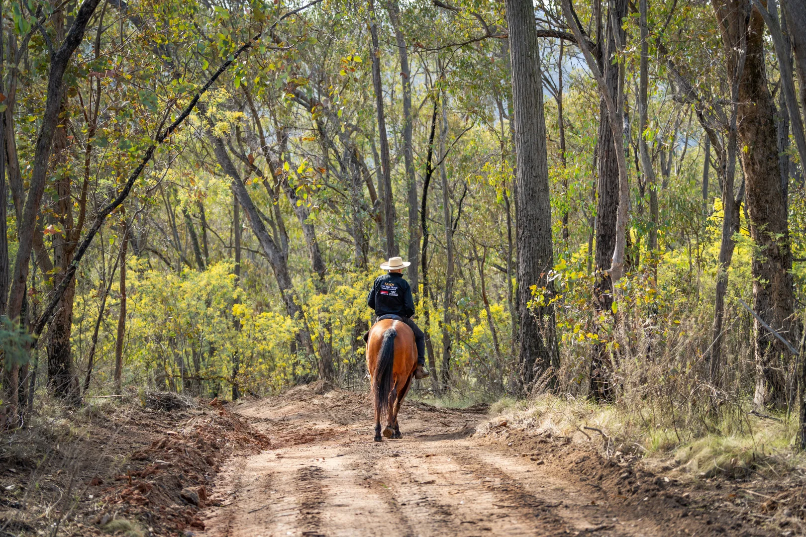 Additional image 17 of . Firebrace Track, Bullioh VIC 3700
