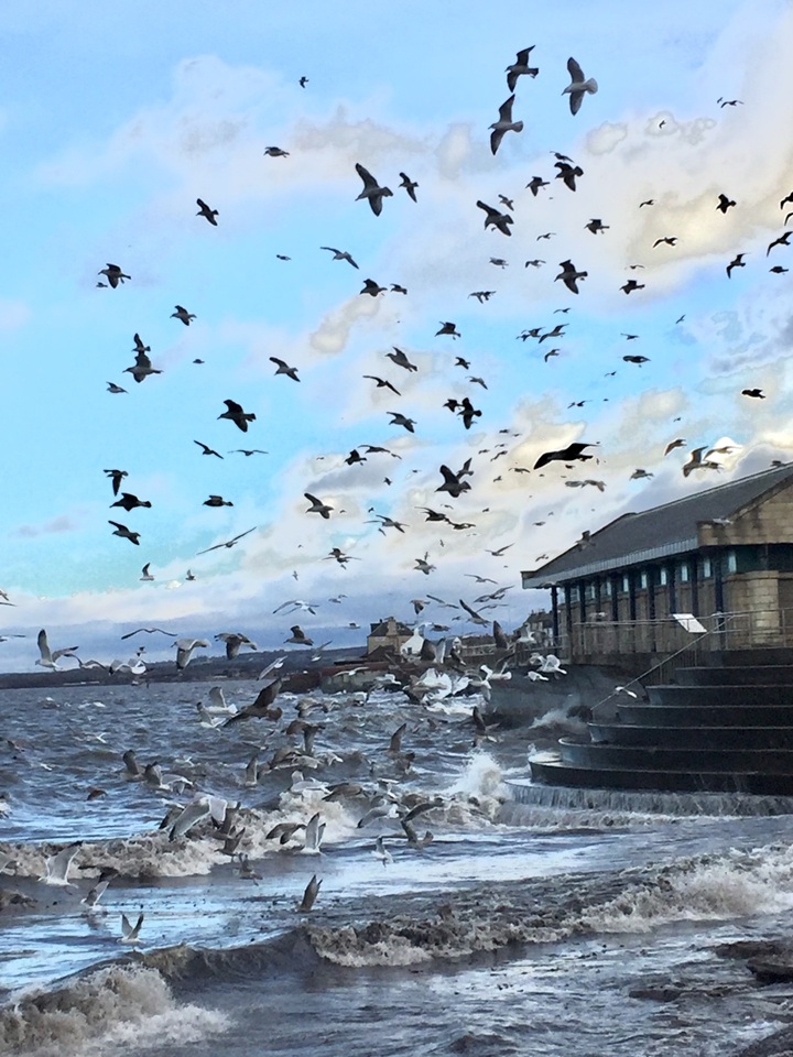 Additional image 16 of 1 Bed Flat, Portobello High Street, EH15, N1 7GU