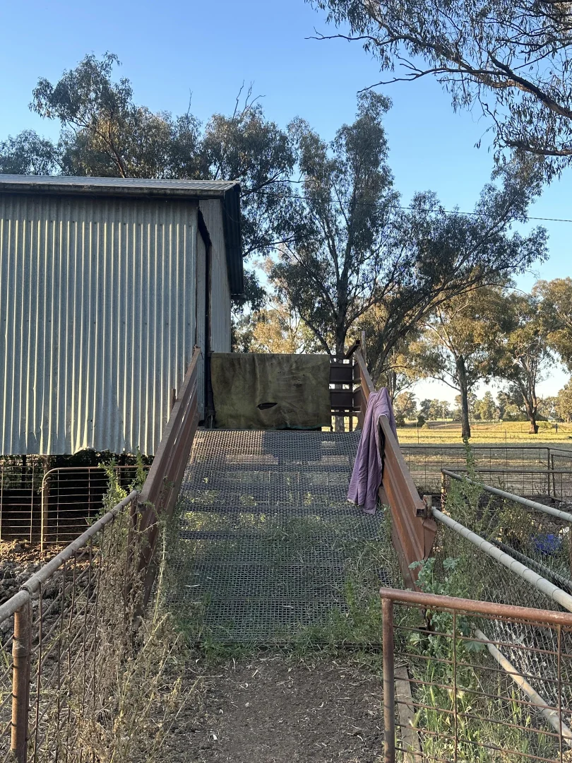 Additional image 10 of Lot 133 Troths Lane, Quandialla NSW 2721