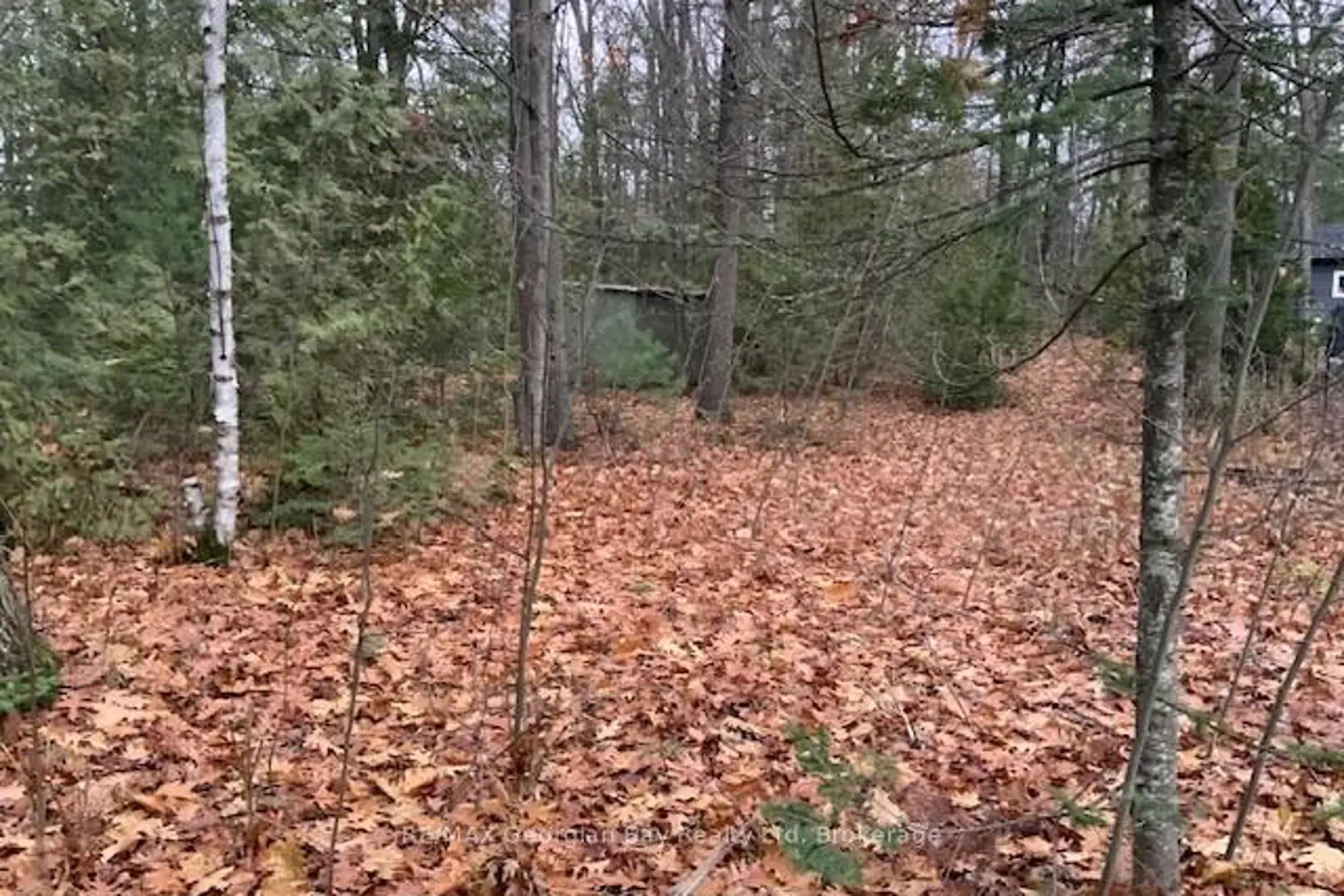 Additional image 6 of 46 Oakwood Avenue