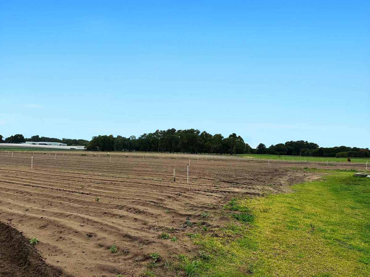 Additional image 3 of 105 Sixty Eight Road, Baldivis WA 6171