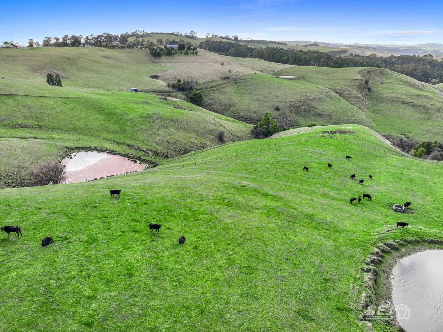 Additional image 3 of 710 Korumburra - Warragul Road, Ranceby VIC 3951