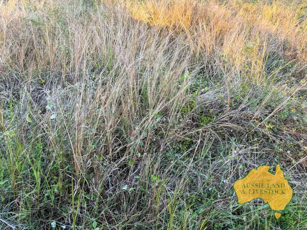 Additional image 22 of 8 SCREENING PLANT ROAD, Cynthia QLD 4627