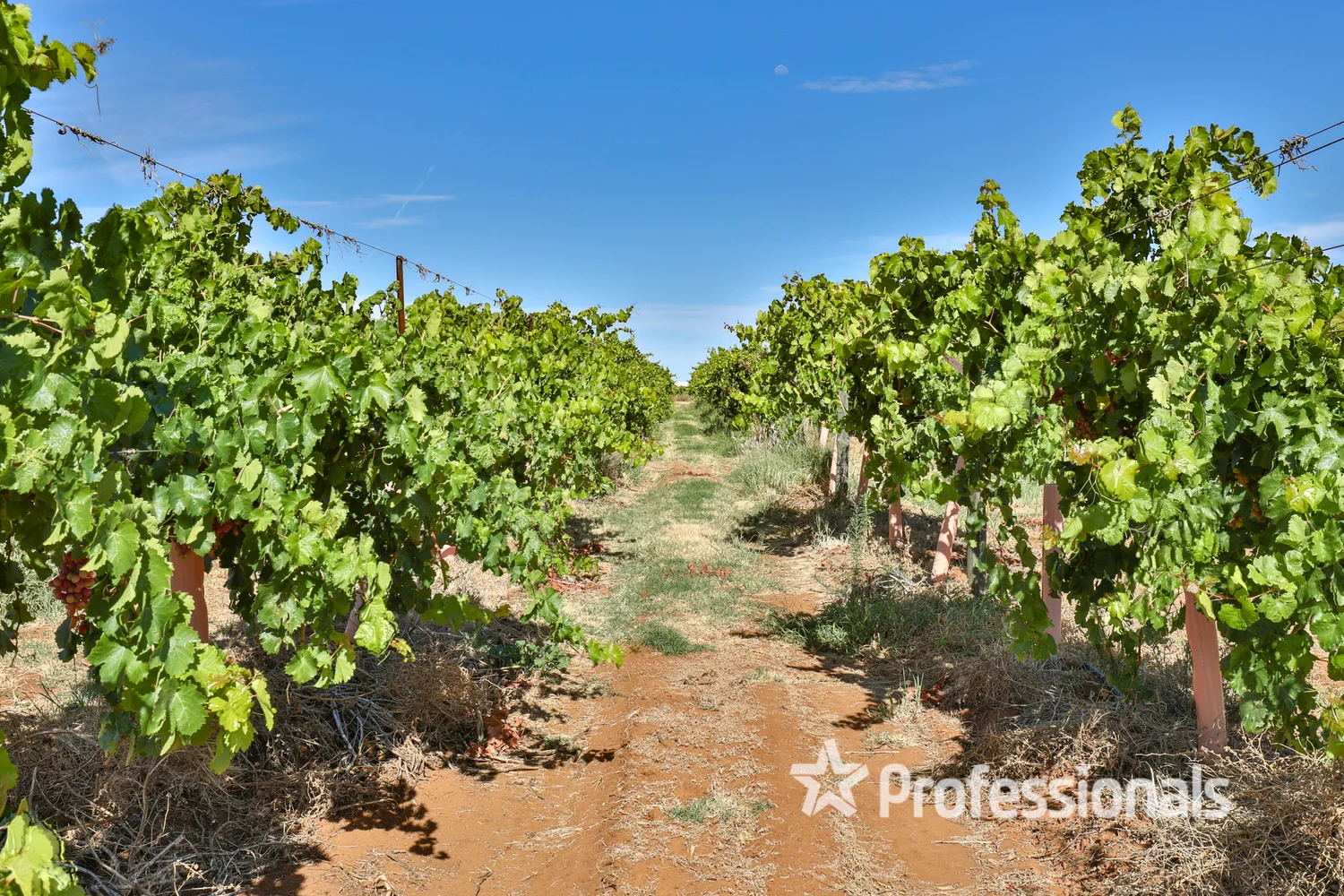 Additional image 22 of 248 Sunnycliffs Crescent, Sunnycliffs VIC 3496