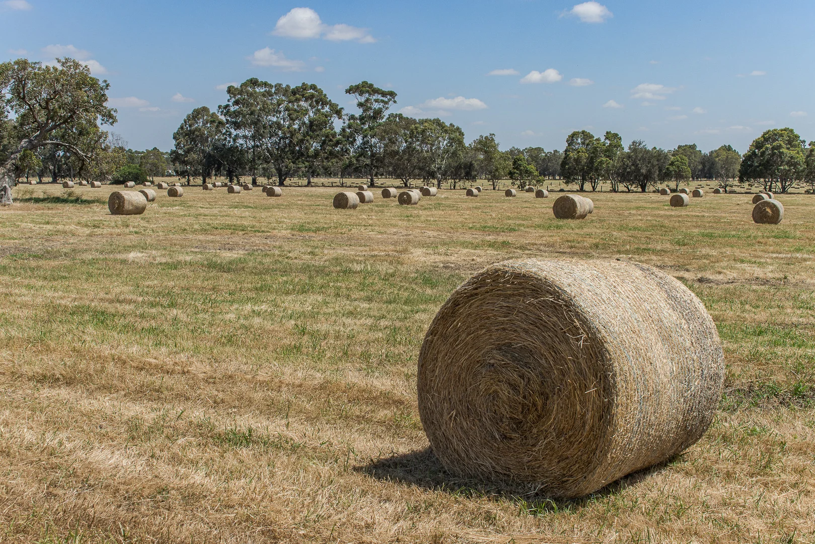 Additional image 8 of 156 Feast Road, Mardella WA 6125