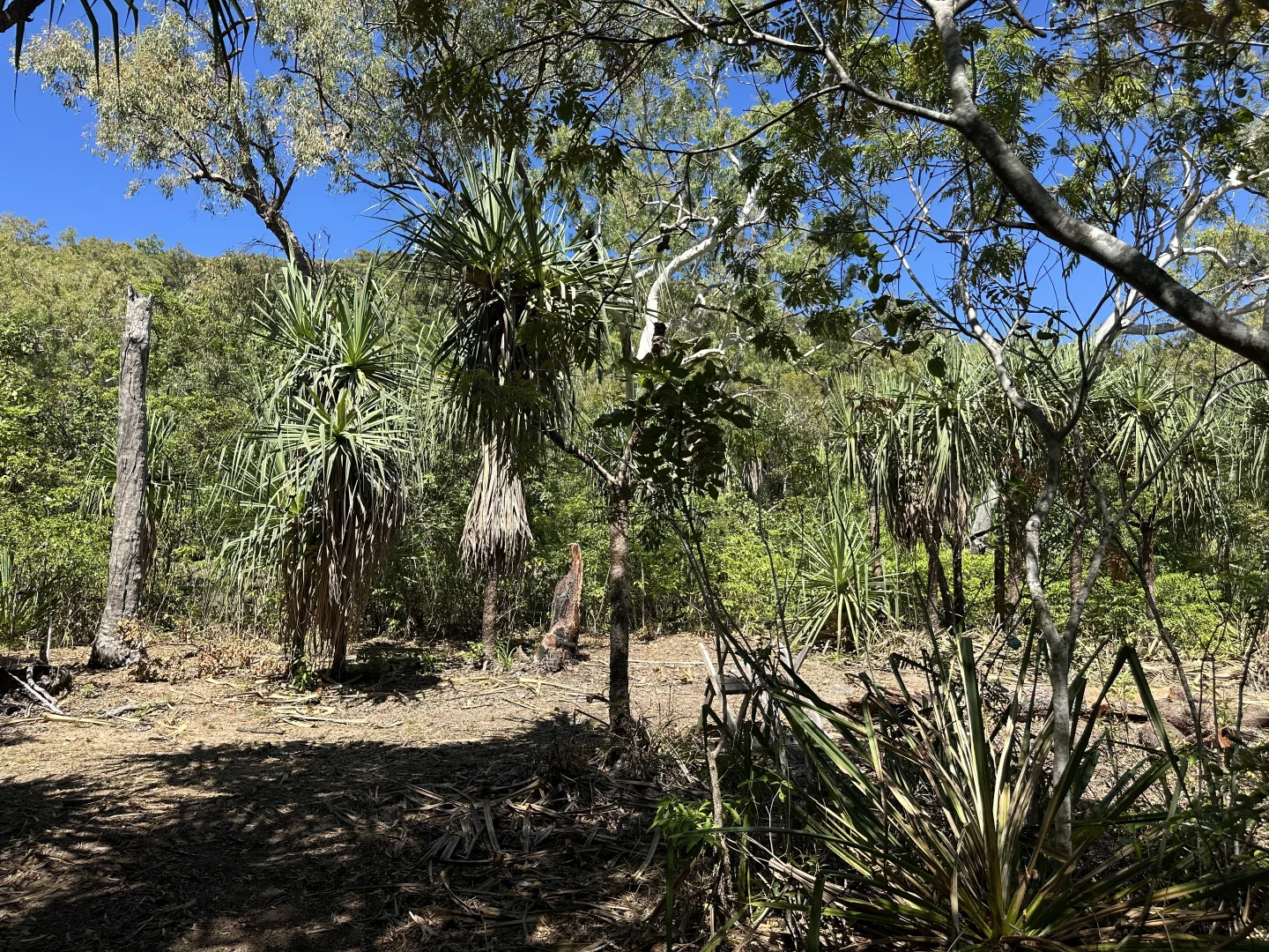 Additional image 11 of 135 Horseshoe Bay Rd, Horseshoe Bay QLD 4819