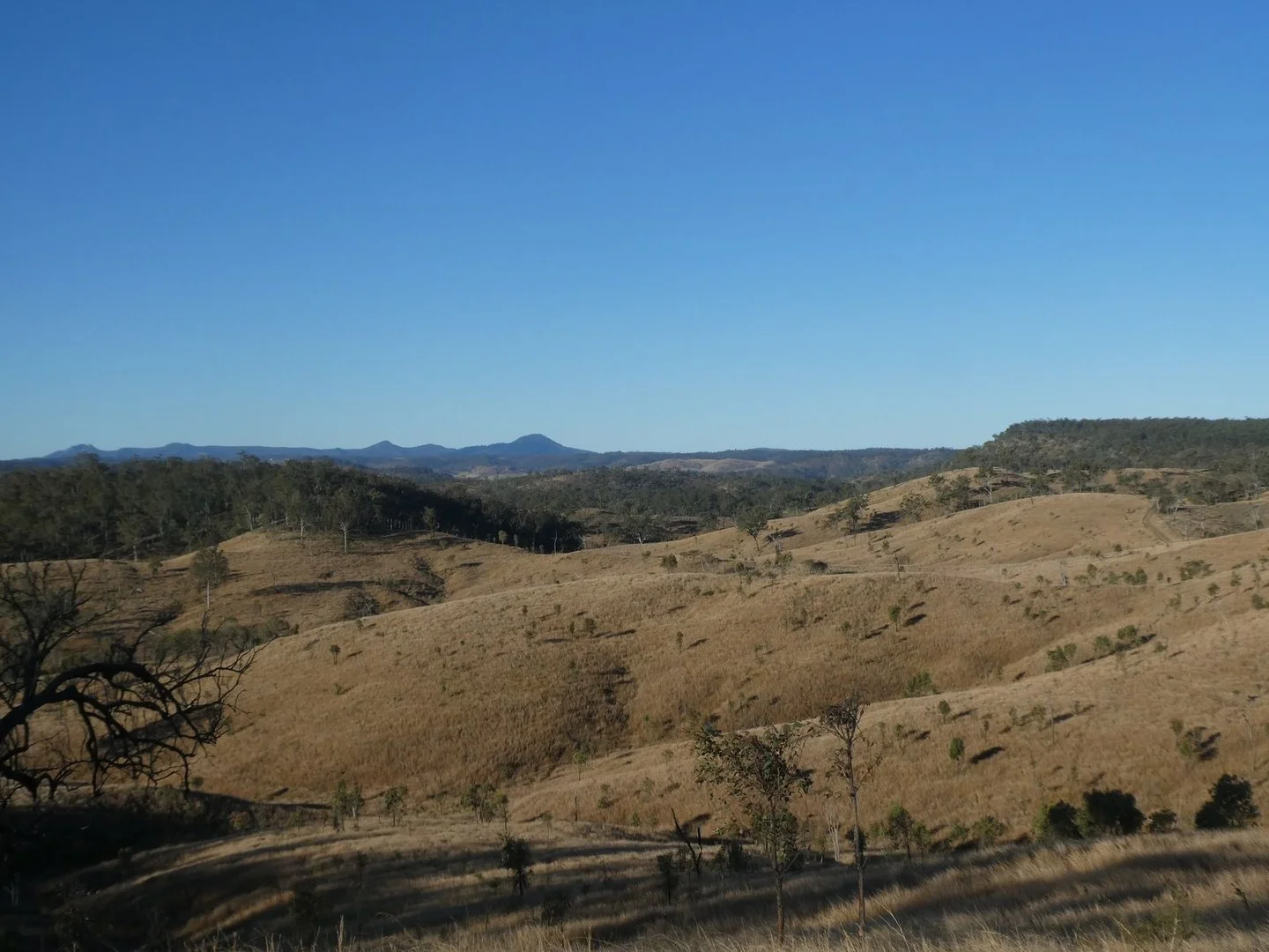 4 Lots/NRN Monto Mount Perry Road, Mungy QLD 4671
