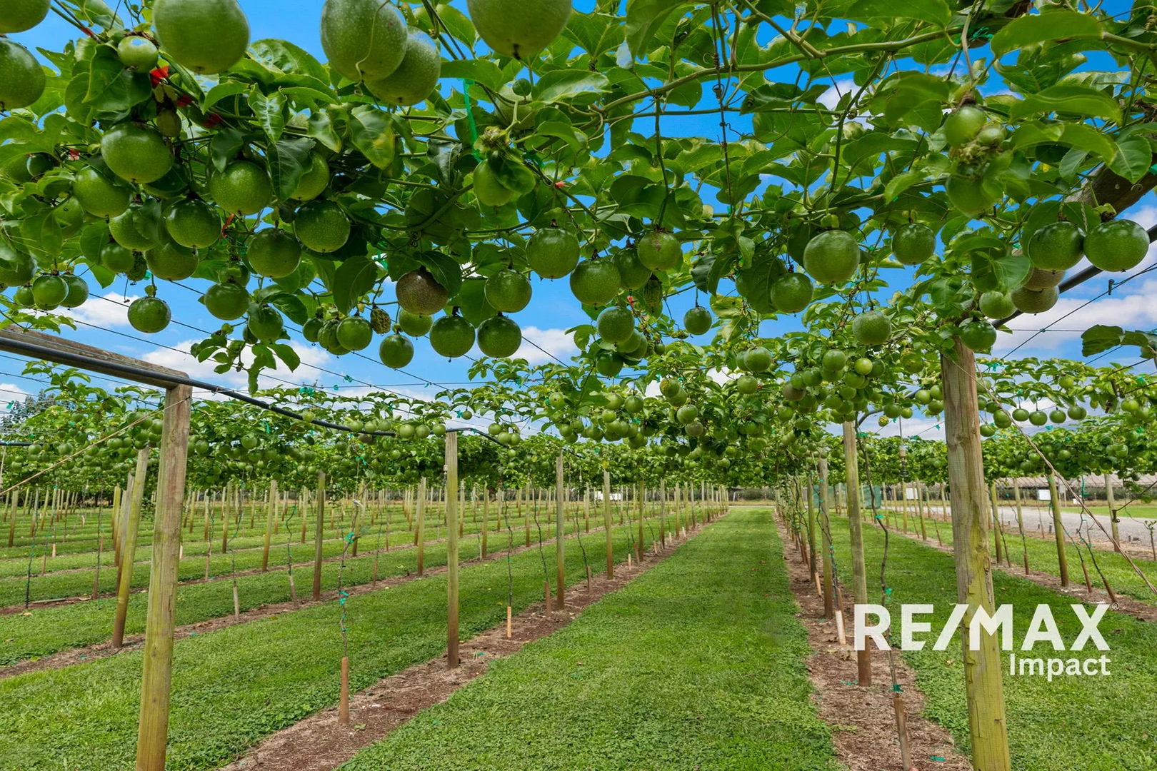 Additional image 24 of 119 Beantree Road, Atherton QLD 4883