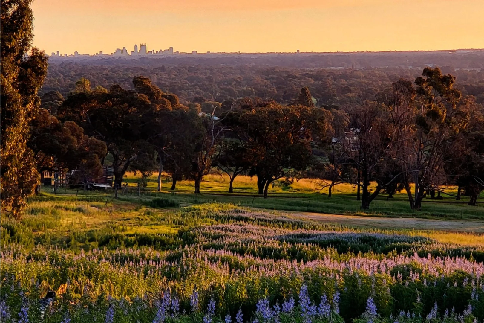 Additional image 8 of 839 Campersic Road, Brigadoon WA 6069