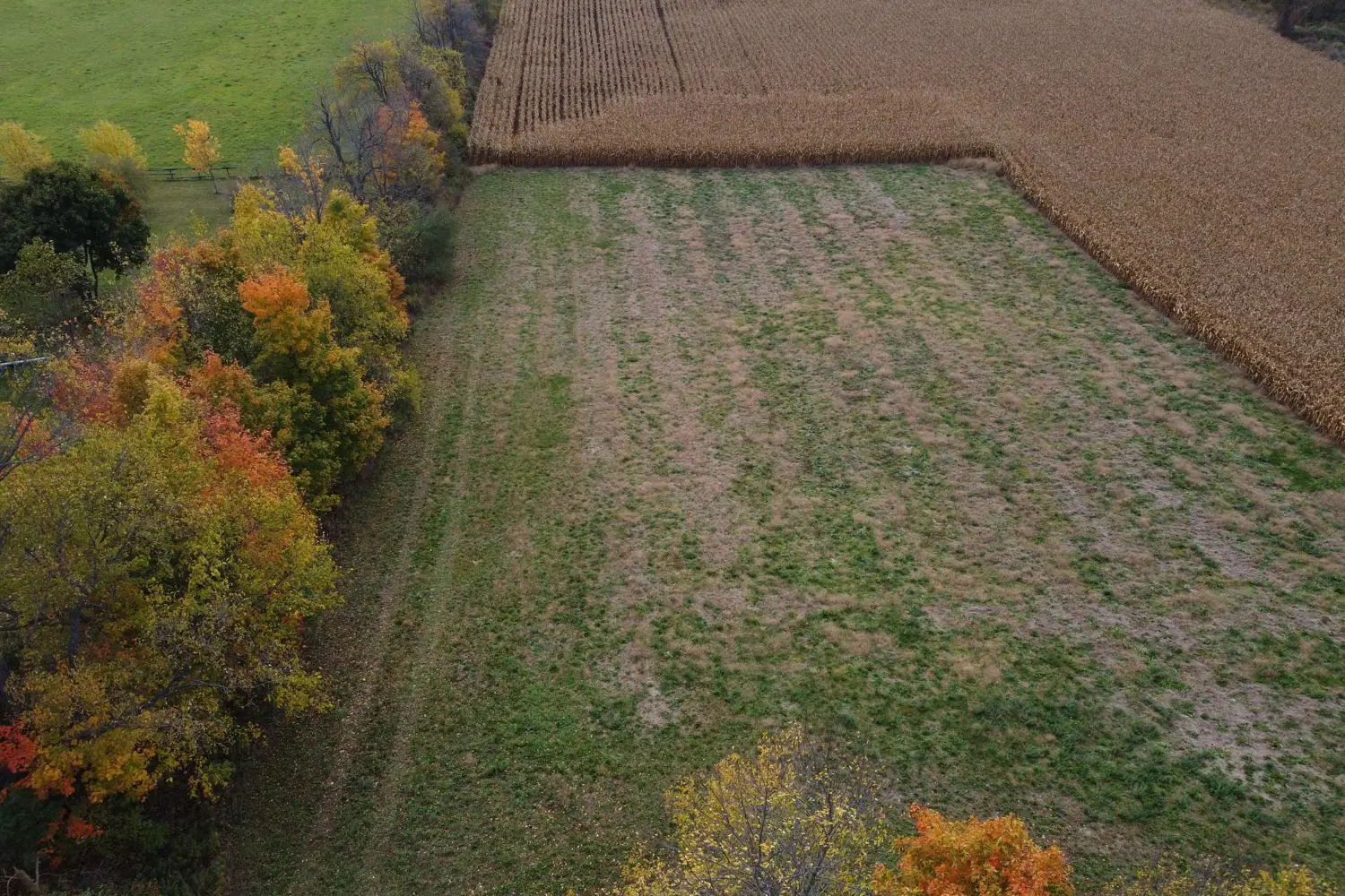 Additional image 8 of 5258 Third Line