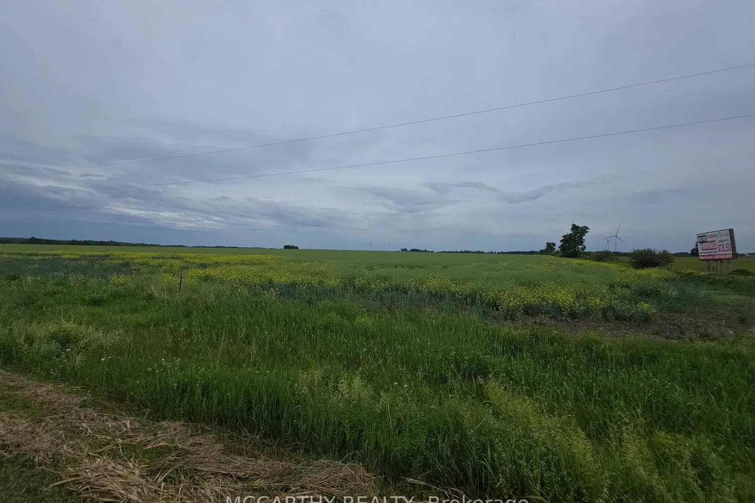 Additional image 7 of 501098 Hwy 89