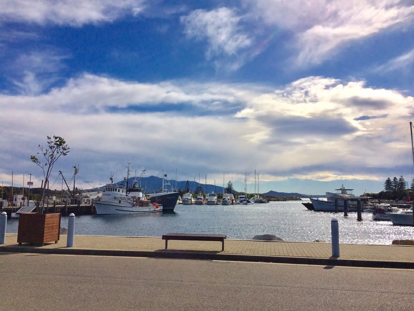 Additional image 24 of 103 Black Marlin Drive, Bermagui NSW 2546