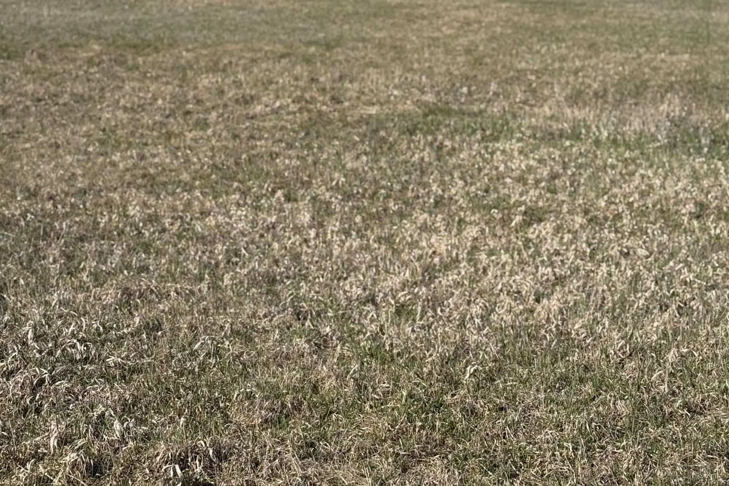 Additional image 3 of 66 Concession Rd. 8 E