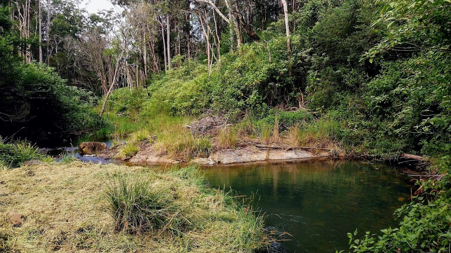 Additional image 26 of Bellangry NSW 2446