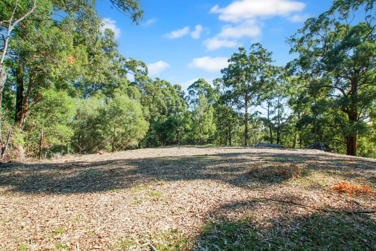 Additional image 3 of 94 Holyrood Road, Maudsland QLD 4210