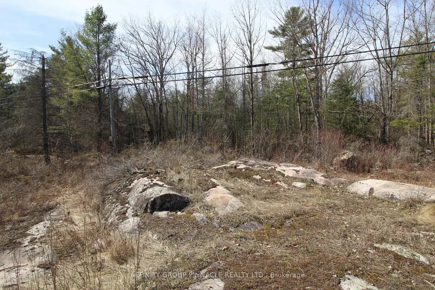 Additional image 5 of Lot 15 Concession 9