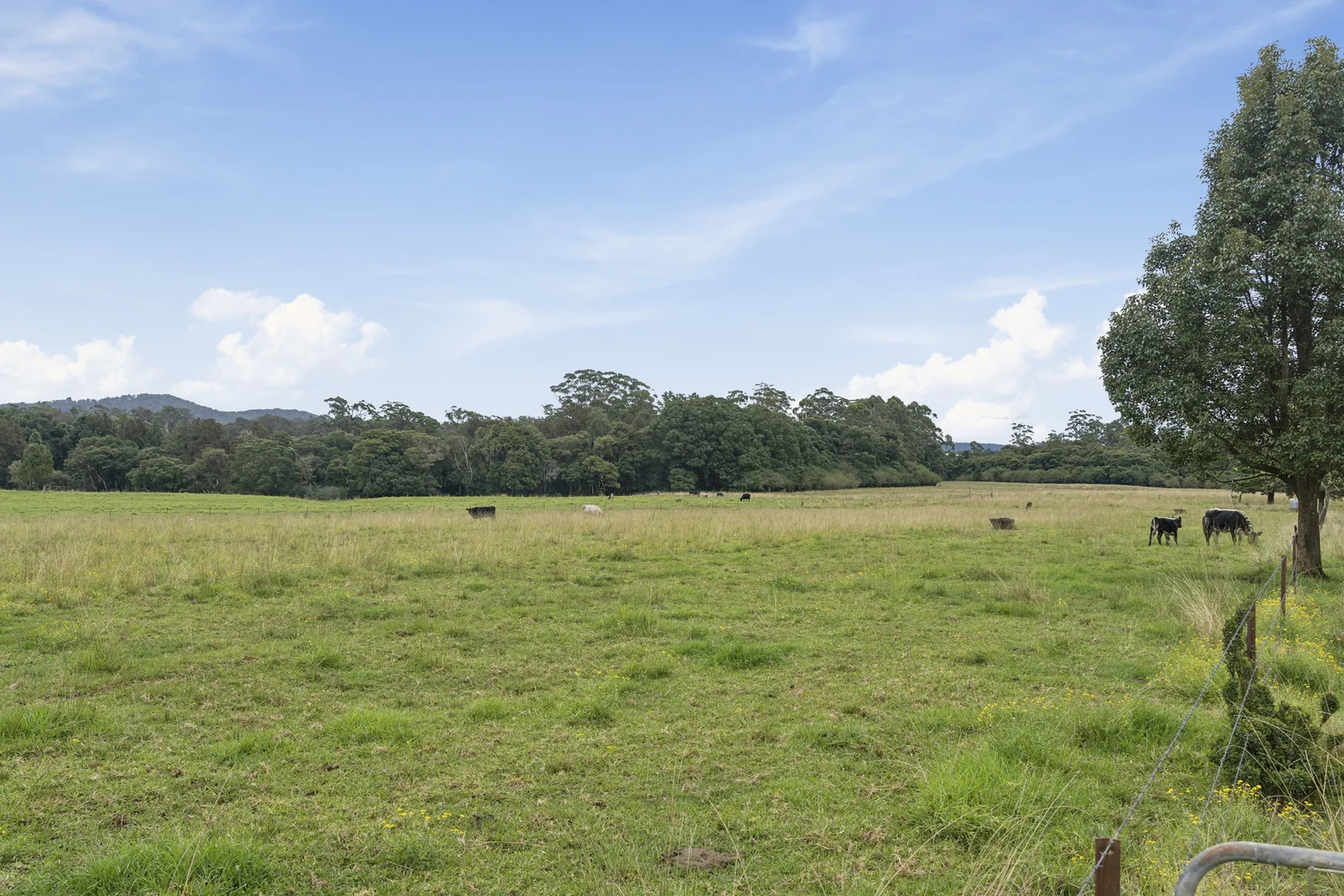 Additional image 14 of 5 Jenkinson Place, Nana Glen NSW 2450