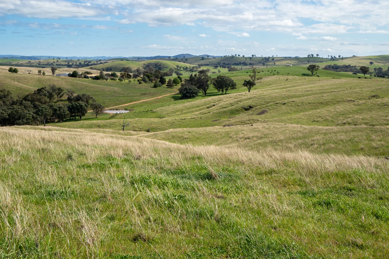 Additional image 18 of 'Cronga Peak' 157 Cronga Peak Road, Molong NSW 2866