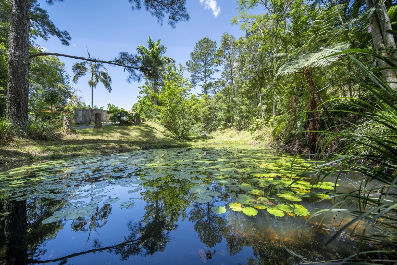 Additional image 32 of 829 The Pocket Rd, The Pocket NSW 2483