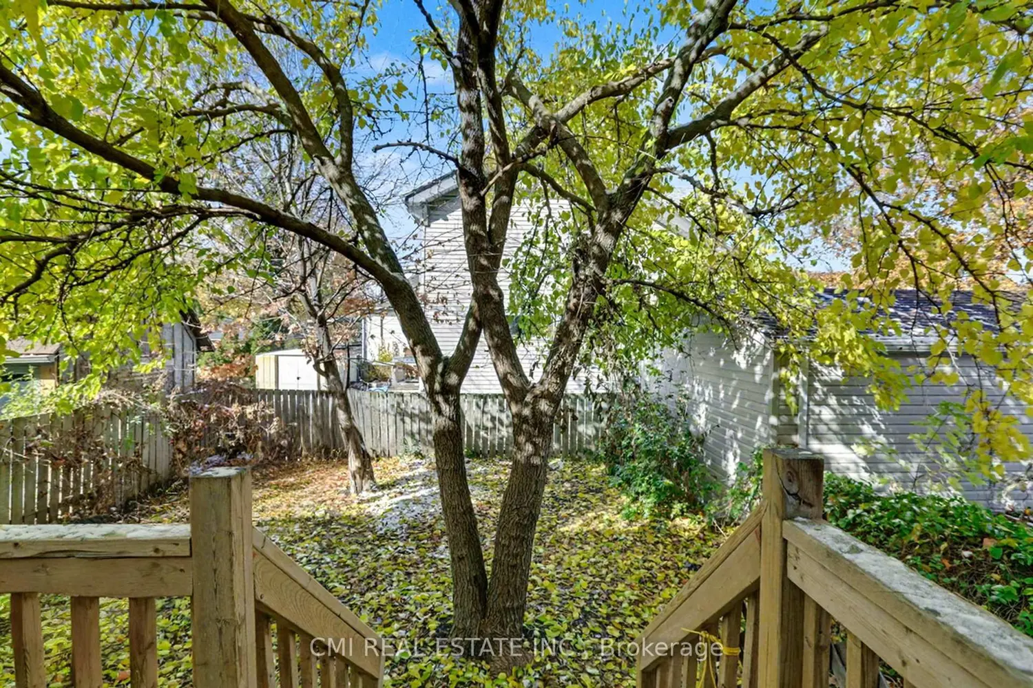 Additional image 20 of 122 Montrose Street