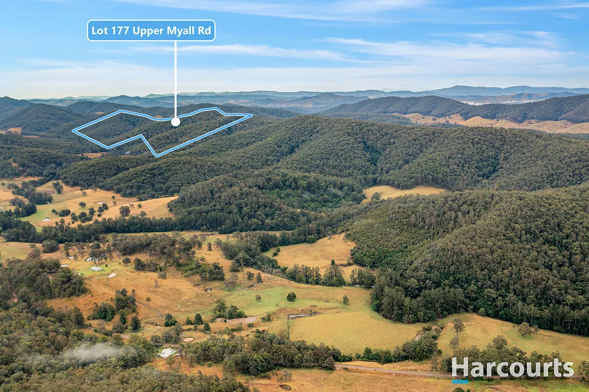 177 Upper Myall Road, Warranulla NSW 2423 photo 2