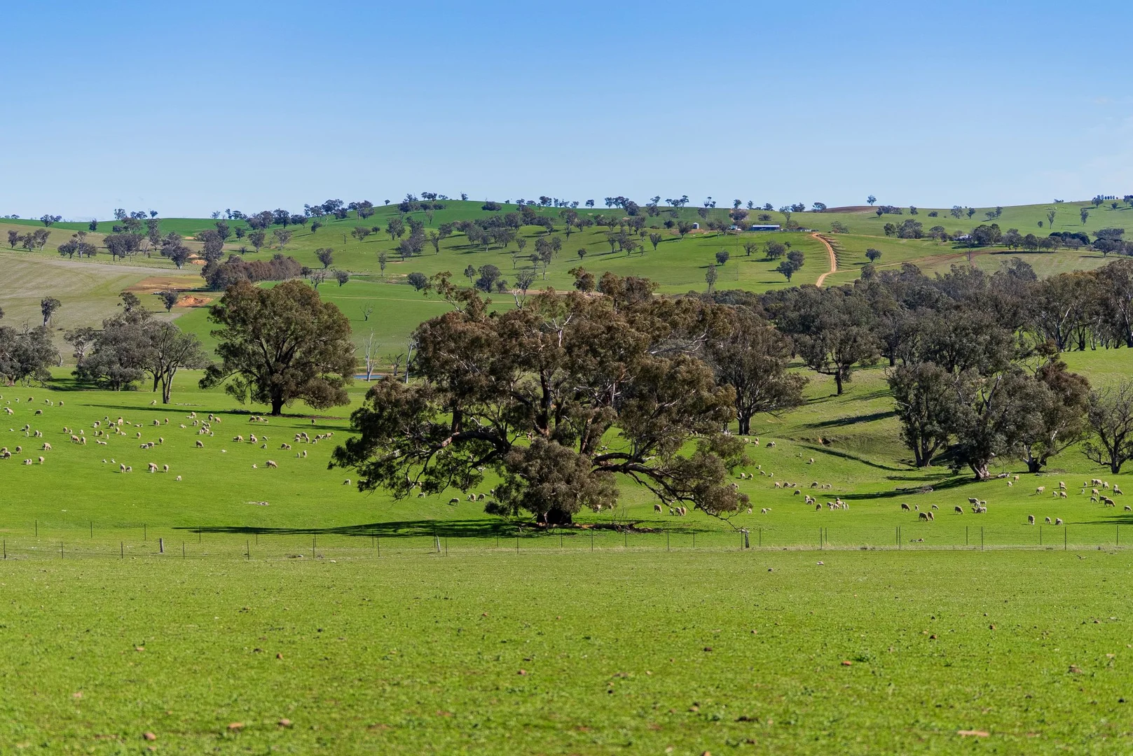 Additional image 6 of 670 Leahy Road, Wagga Wagga NSW 2650