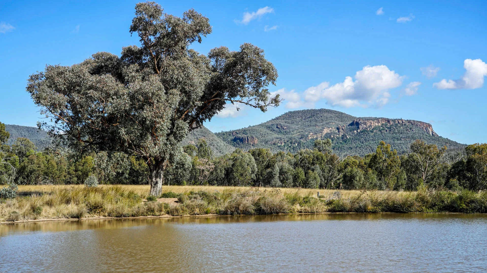 Additional image 5 of 849 Guinema Goorianawa Road, Coonabarabran NSW 2357