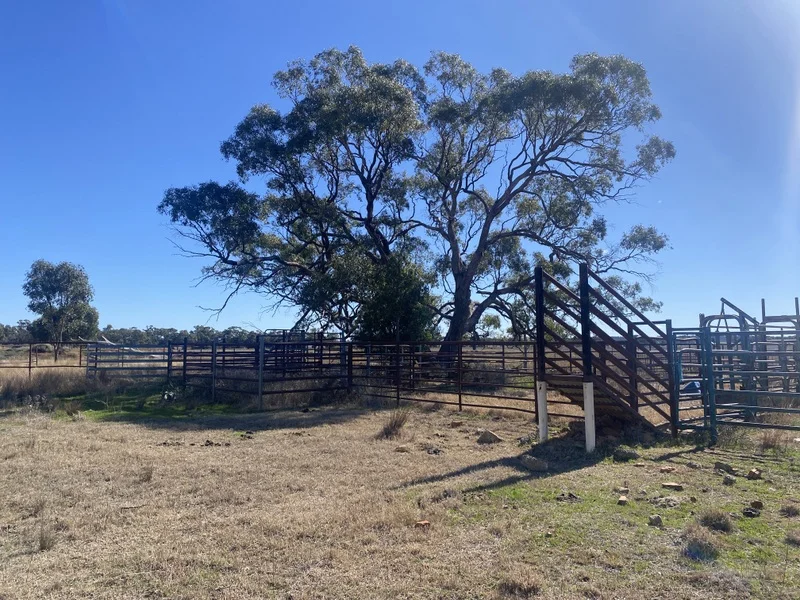 Additional image 13 of 382 Jones Lane, Condobolin NSW 2877