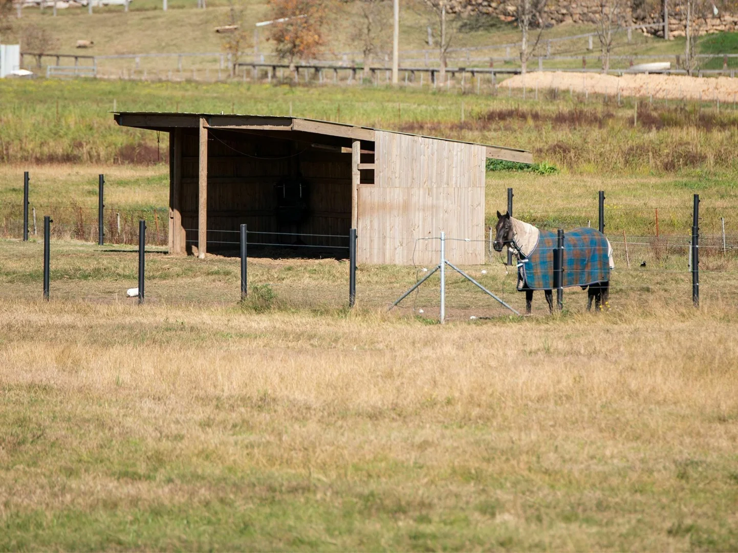 Additional image 8 of 851 River Road, Lower Portland NSW 2756
