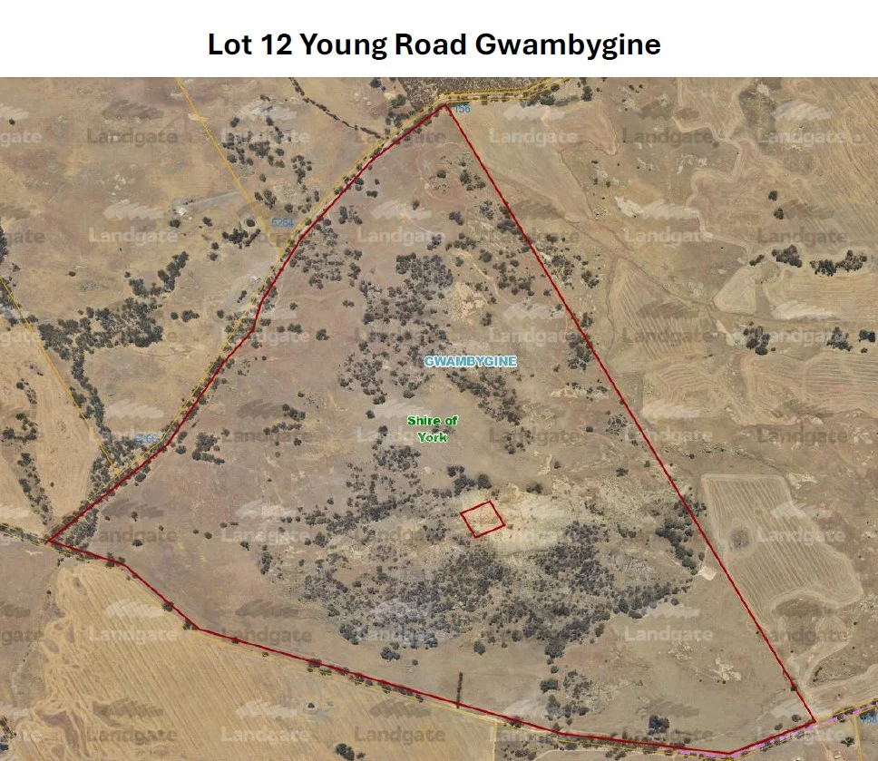 Additional image 5 of Lot 12 Young Road, Gwambygine WA 6302