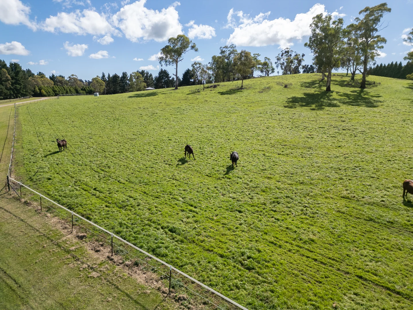 Additional image 7 of 543 Aberbaldie Road, Walcha NSW 2354