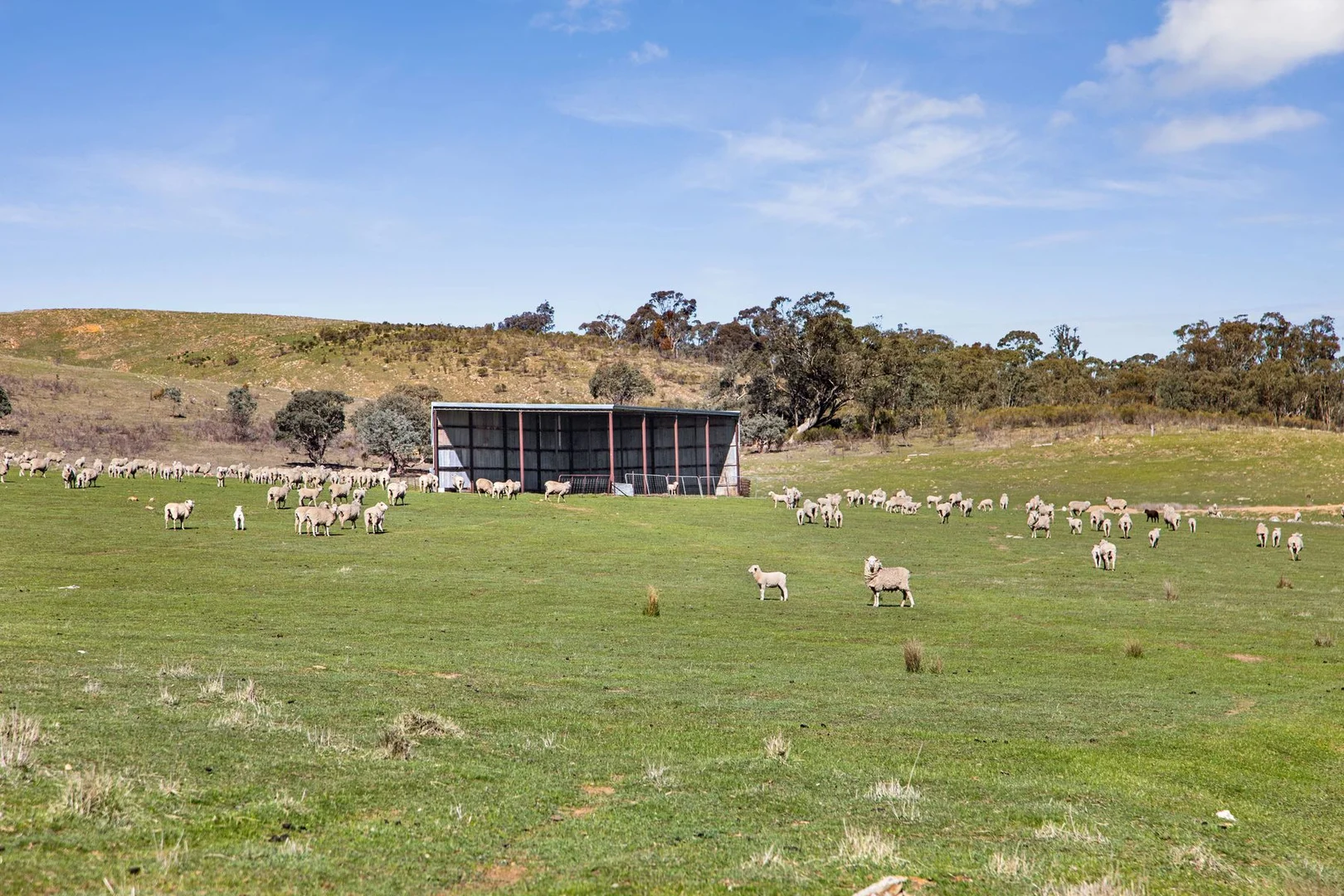 Additional image 12 of "Cairn Hill" Cnr Patons & Doles Road, Kimbolton VIC 3551