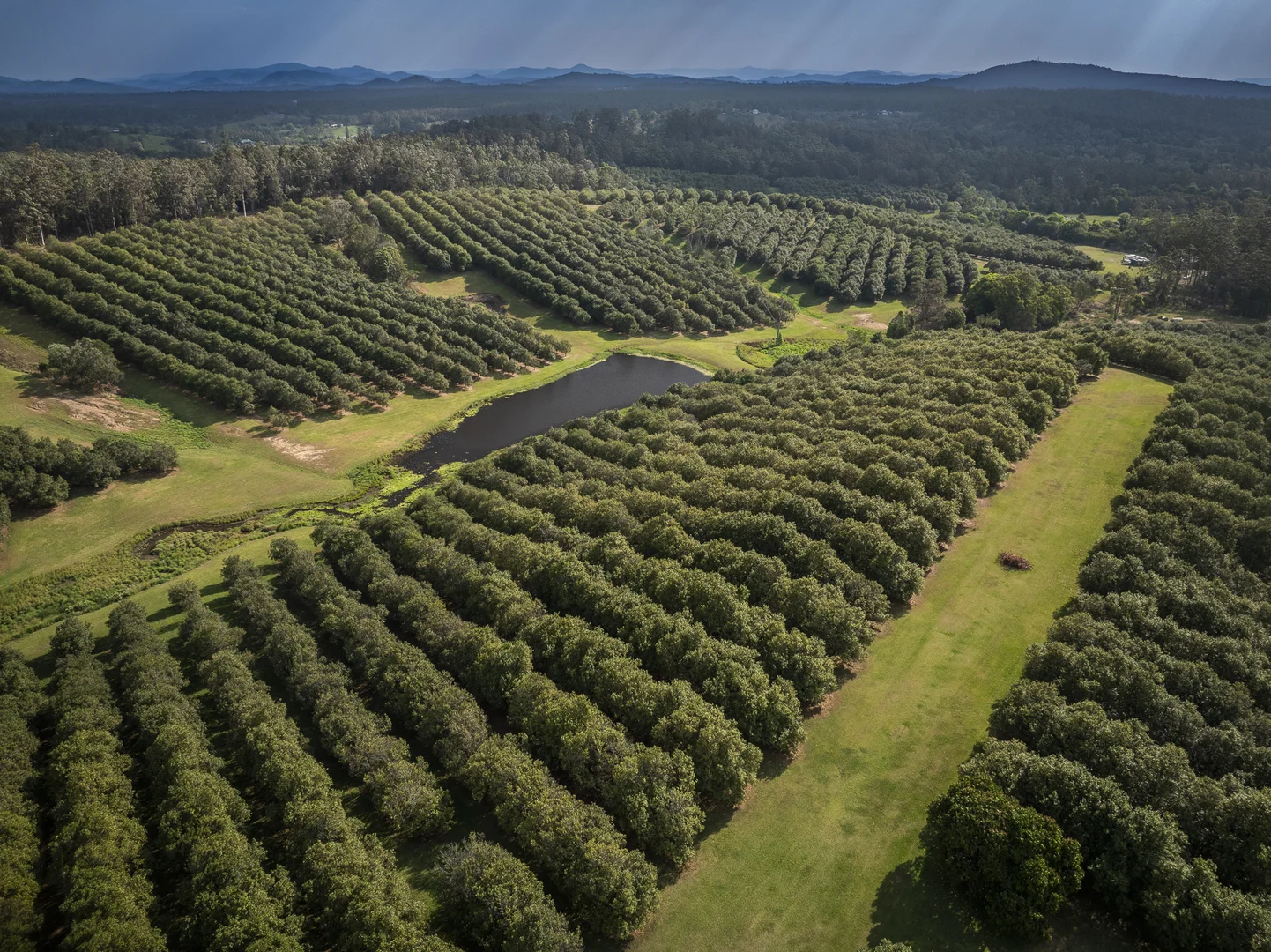 Additional image 10 of 70 Aural Vale Road, North Deep Creek QLD 4570