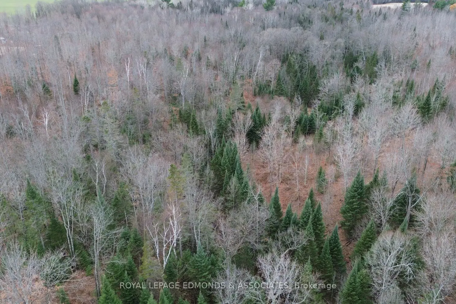 Additional image 9 of 710 Westmeath Road