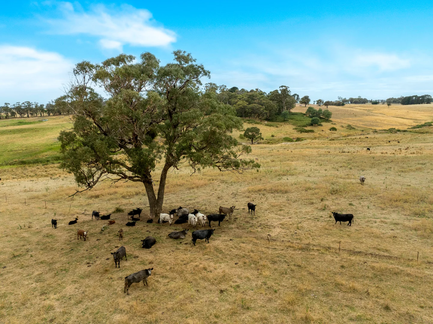 Additional image 42 of 'Top Farm' 1004 Neville-Trunkey Road, Neville NSW 2799