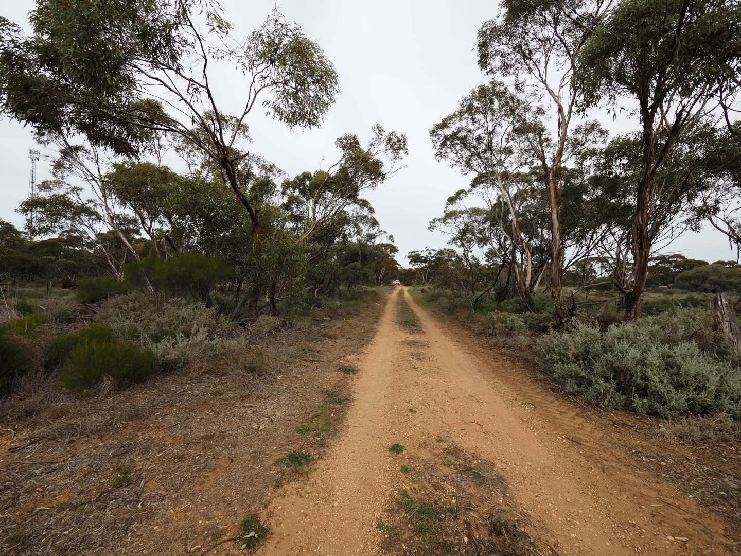 Additional image 9 of Lots 1-6, Towns Street, Chillingollah VIC 3585