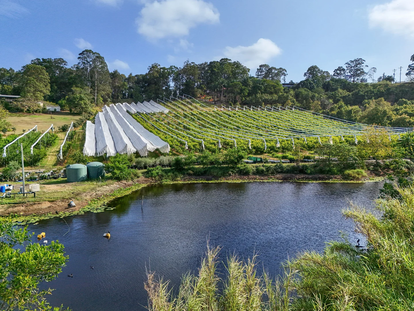 Additional image 2 of 43 Pringle Road, Rosemount QLD 4560