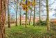 Additional image 16 of Countryside Living in Foulsham