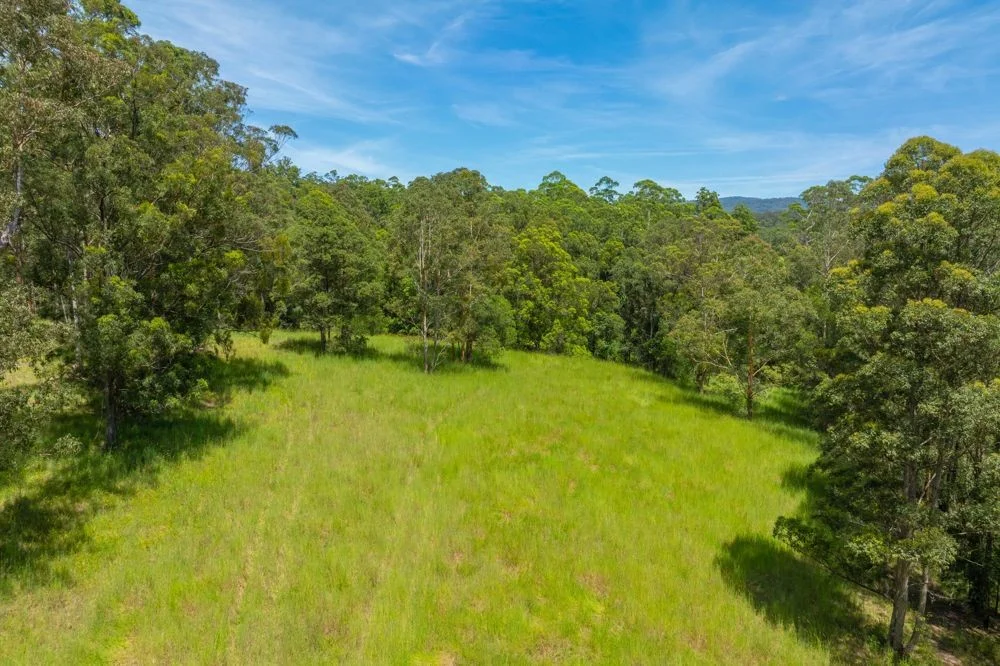 384 Eastern Boundary Road, Rollands Plains NSW 2441