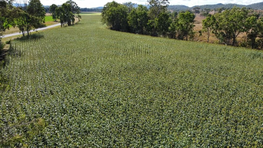Additional image 16 of 9 Oakey Creek Road, Cinnabar QLD 4600