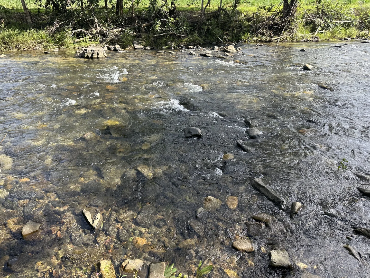 Additional image 28 of Japoonvale QLD 4856