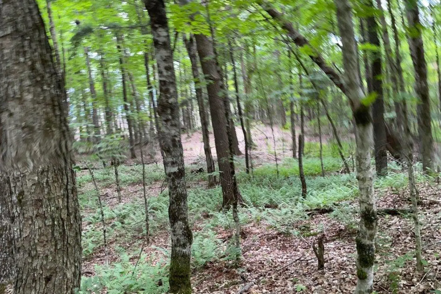 Additional image 5 of 1350 Haliburton Lake Rd