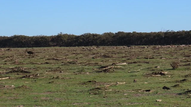 Additional image 5 of 225 Coles-Killanoola Road, Coles SA 5272