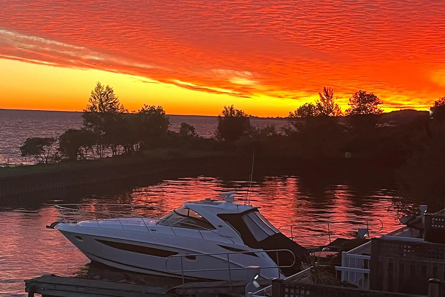 Additional image 20 of 155 William Street 12