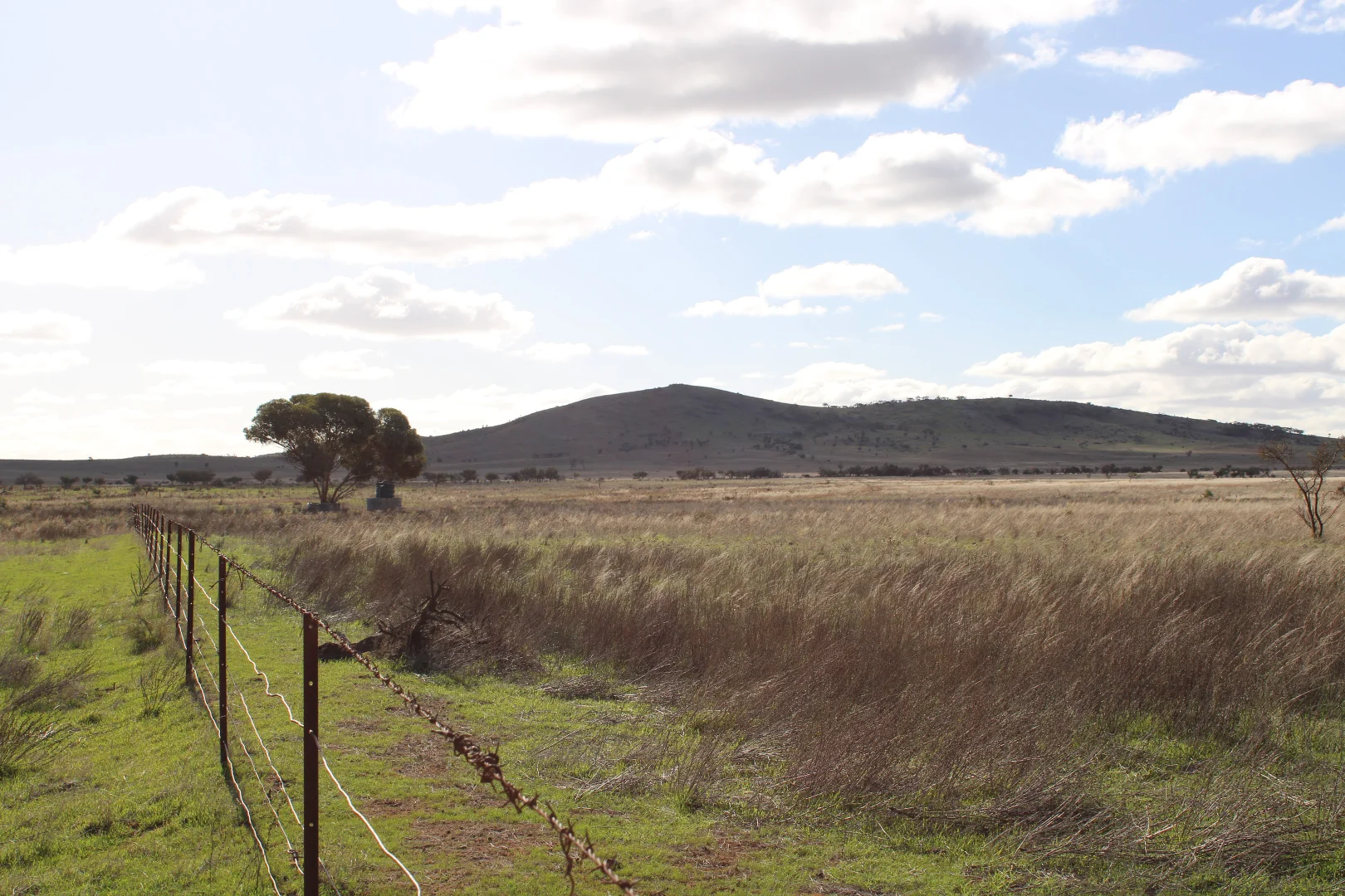 Additional image 5 of "Woodlands" Black Rock Road, Minvalara SA 5422